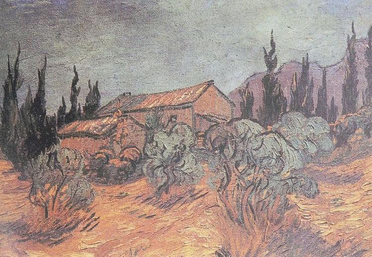 Vincent Van Gogh Huts surrounded by olive trees and cypresses France oil painting art